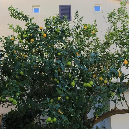 Apartment By The Sea Gradac, Makarska - 18151